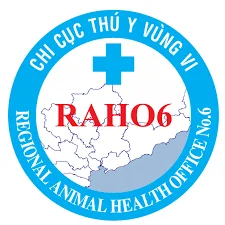 RAHO6